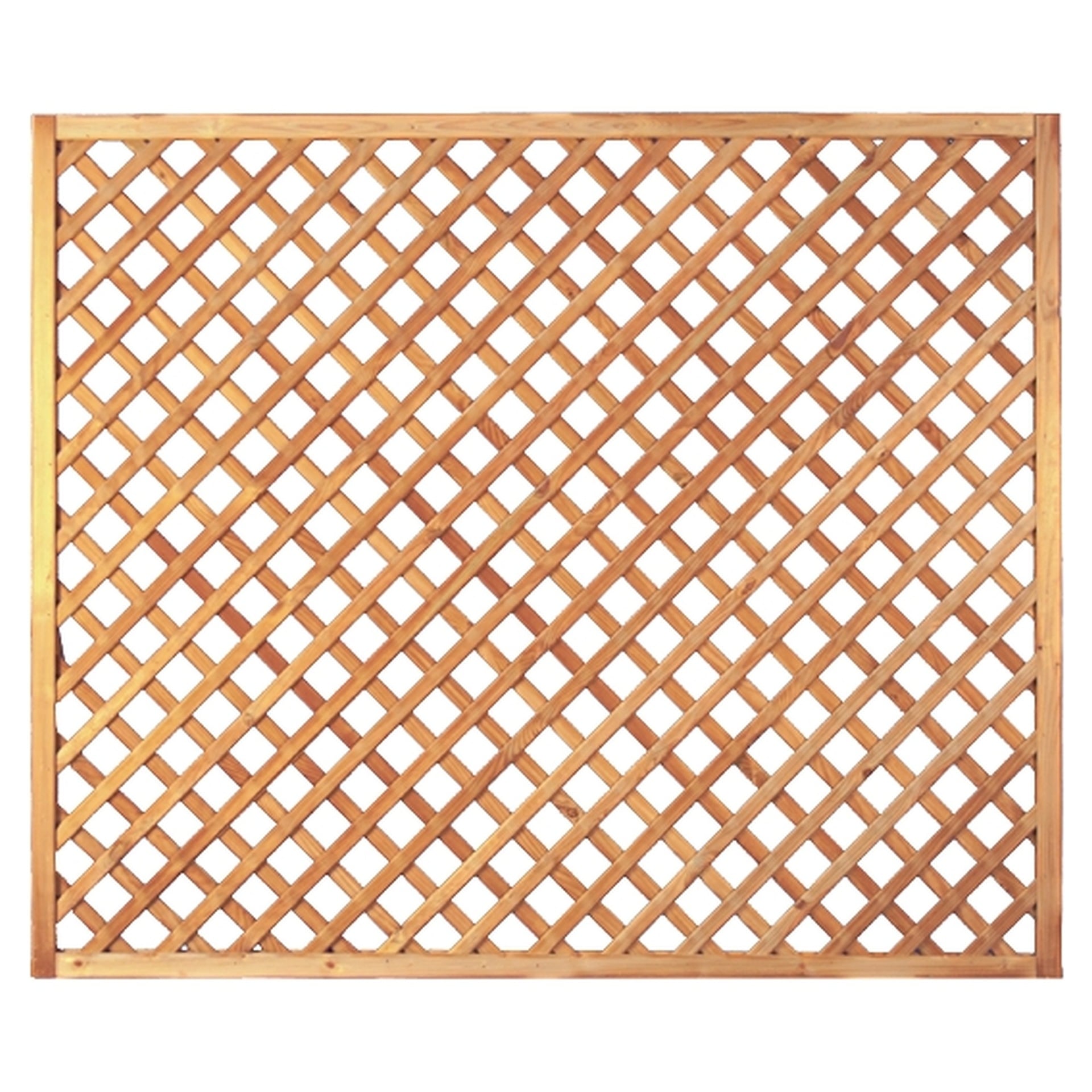 2778491 diagonal rankzaun genagelt