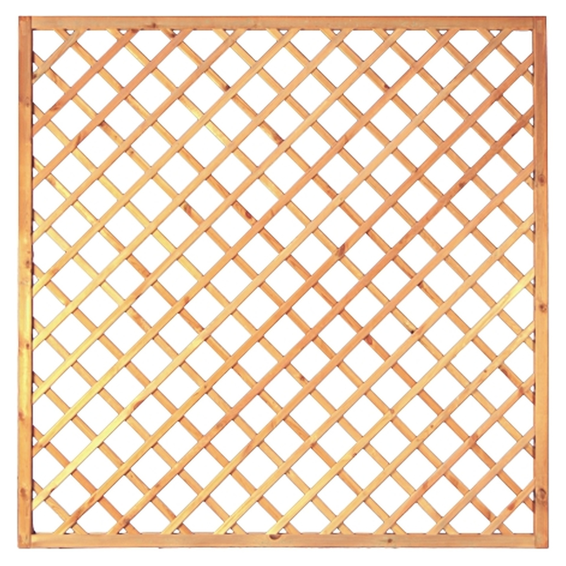 2778492 diagonal rankzaun genagelt