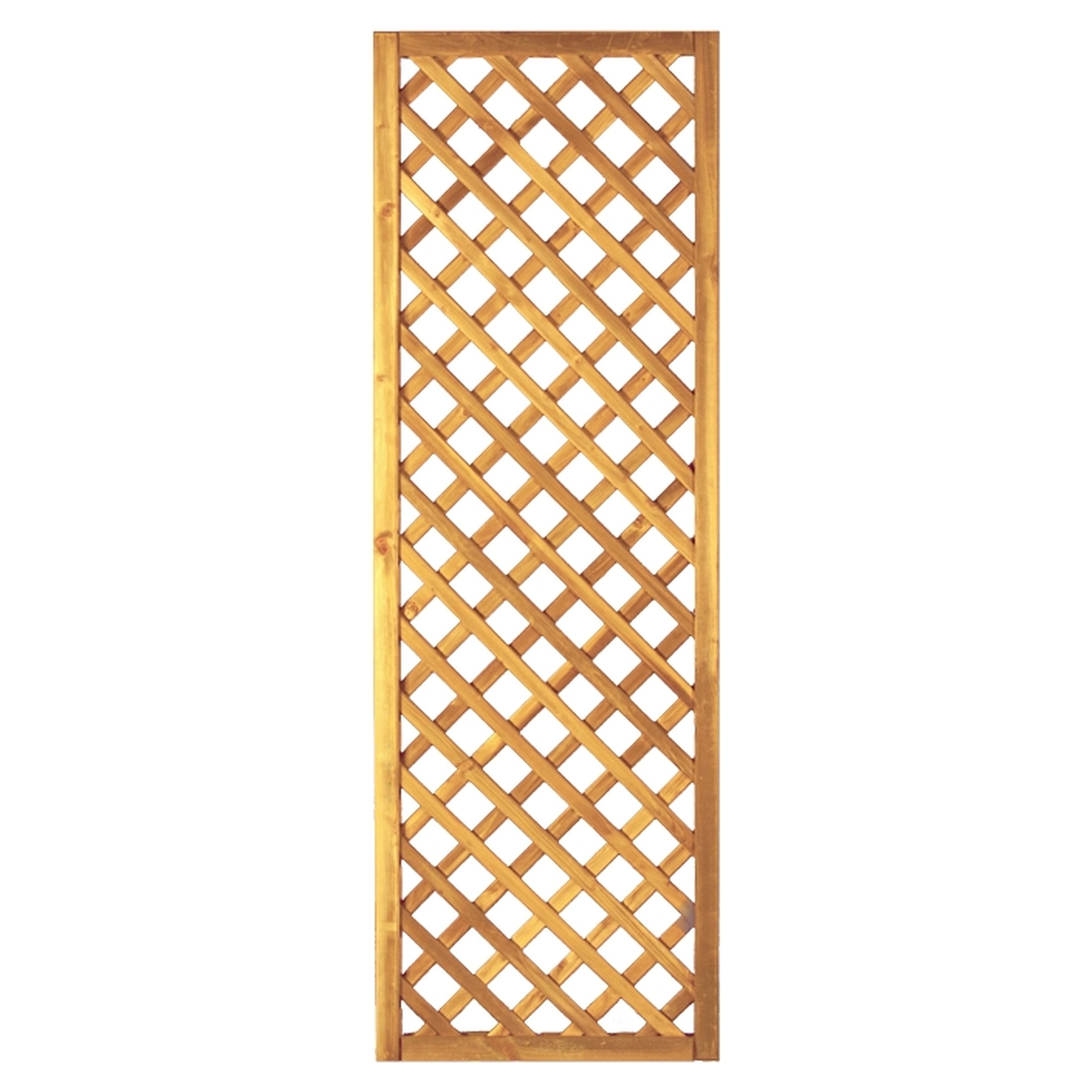 2778495 diagonal rankzaun genagelt