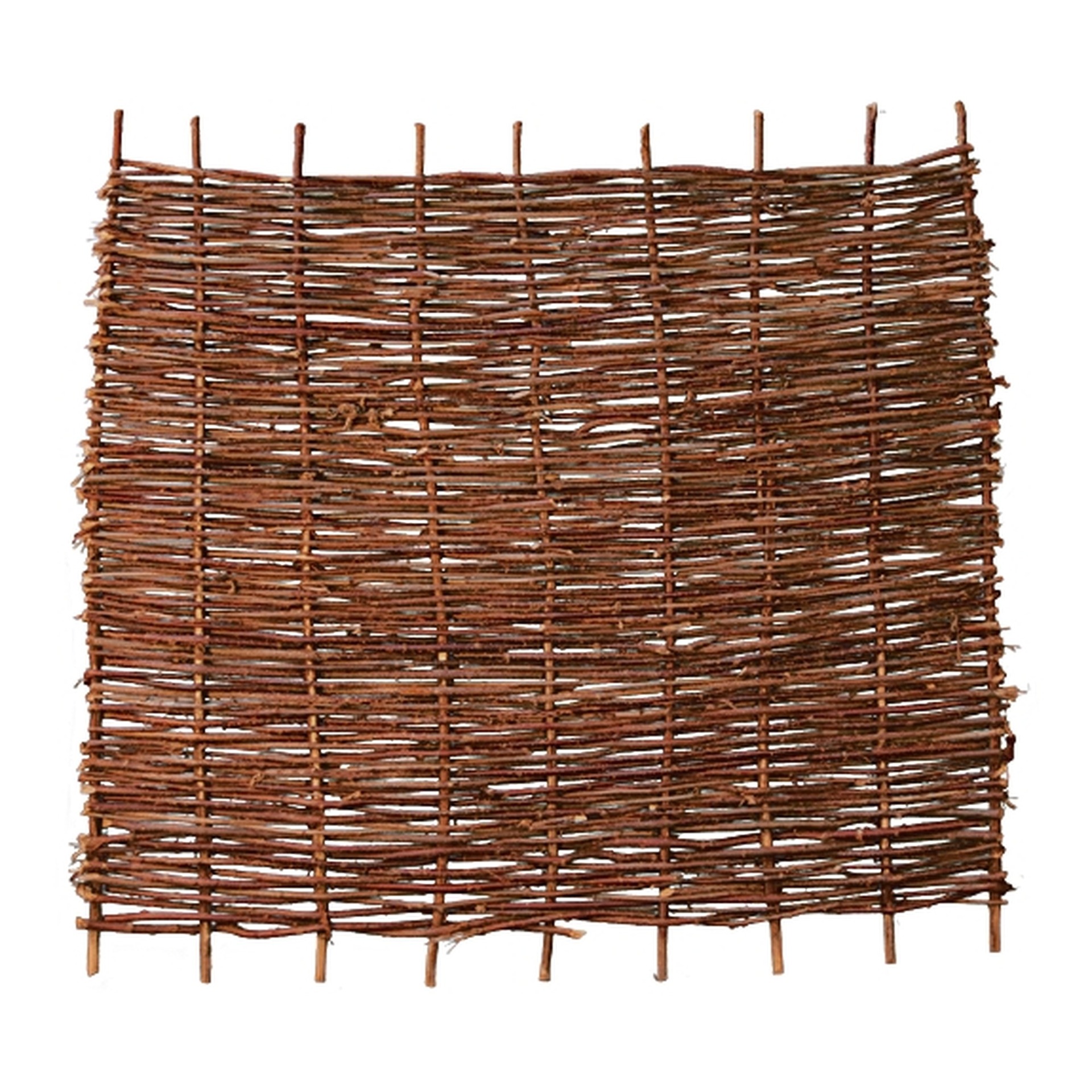 2779104 pablo haselnusszaun stabil