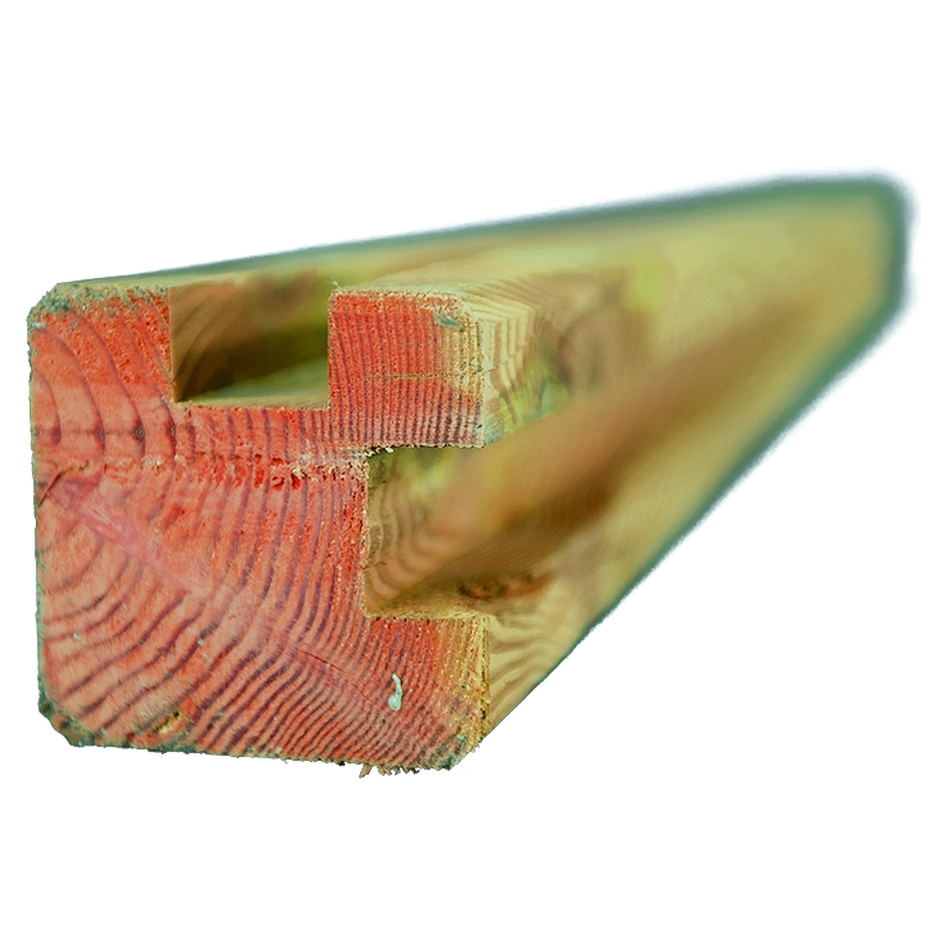 2779206 riad system laerche douglasie l pfosten