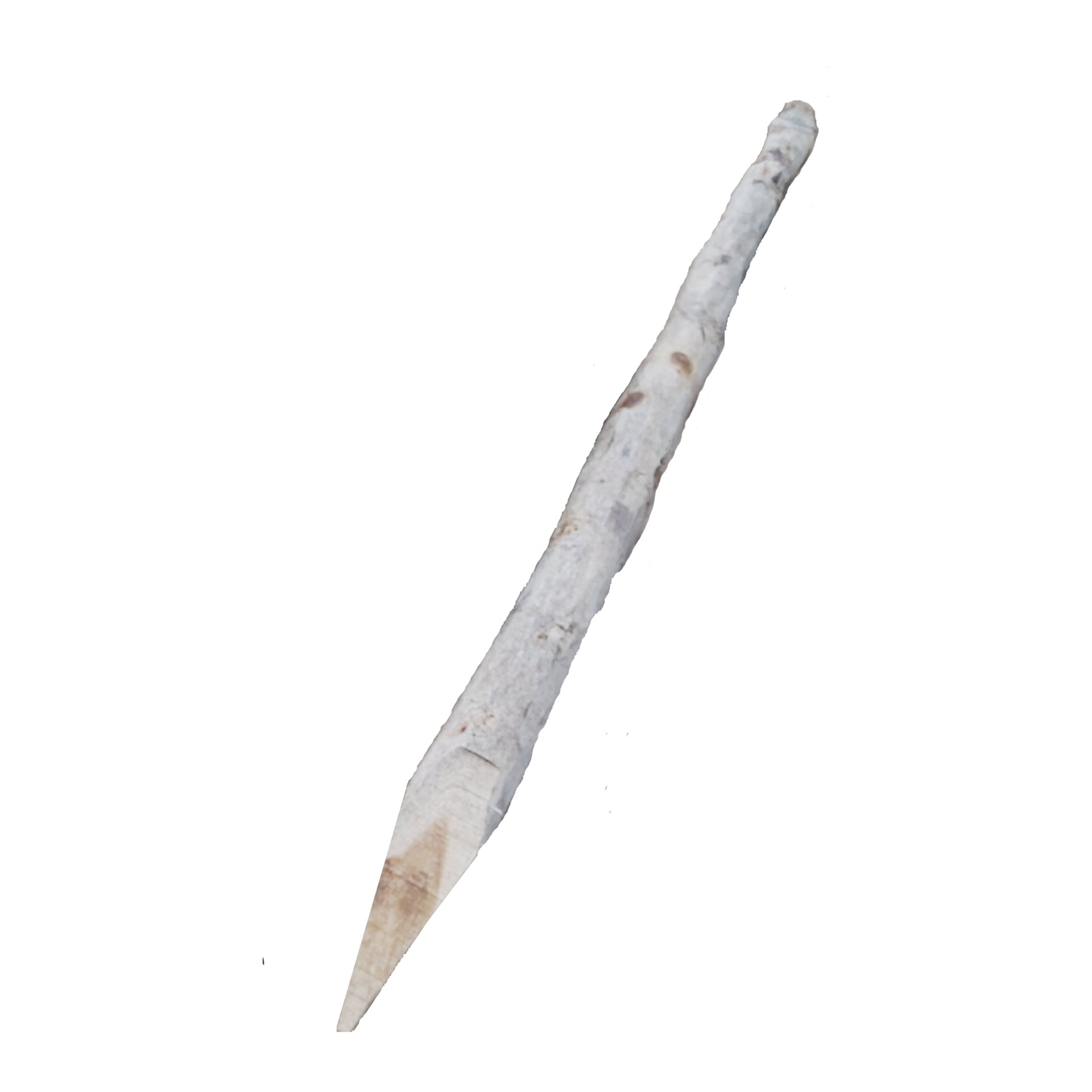 2779211 robinie pfaehle mit spitze wie gewachsen