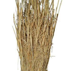 Grasbüschel, ca. 25-40 cm