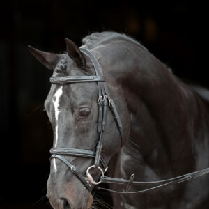 Trensenzaum Classic, schwarz