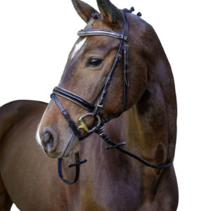 Trensenzaum Kingston, schwarz