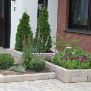 Mauerstein Monza Maxi