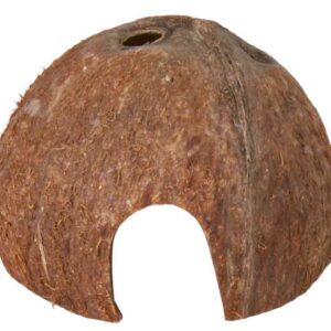 Kokosnuss-Halbschale