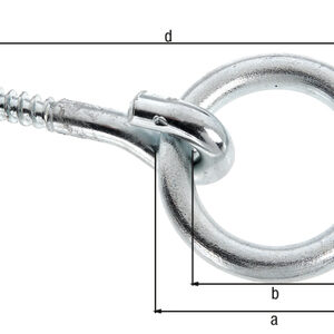 Schraubring z. Einschrauben
