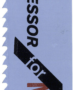 2 Fuchsschwanzsägeblätter S 123 XF