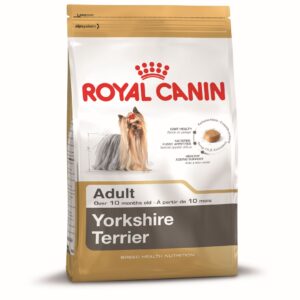Breed Yorkshire Terrier 28 Adult