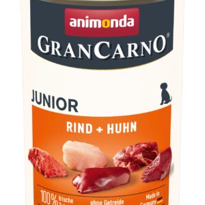 Dog GranCarno Junior