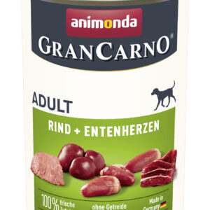Dog GranCarno Adult