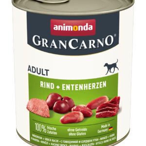 Dog GranCarno Adult