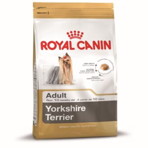 Breed Yorkshire Terrier 28 Adult