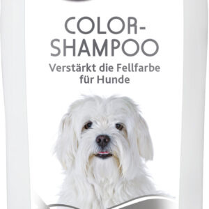 Color-Shampoo