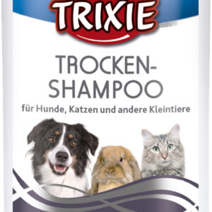 Trocken-Shampoo