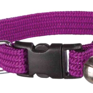 Katzenhalsband, elastisch