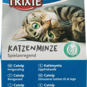 Katzenminze