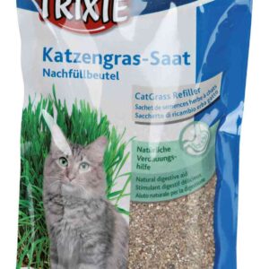 Katzengras