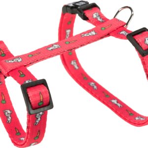 Geschirr mit Leine, Kaninchen