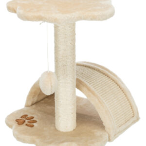 Junior Kratzbaum Vitoria