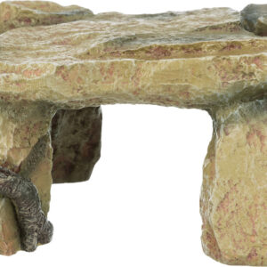 Felsplateau mit Baumstamm