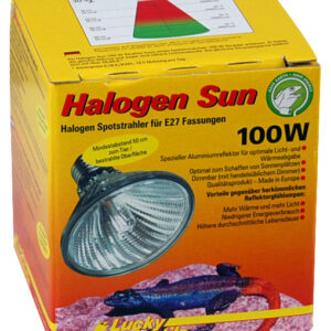Halogen Sun