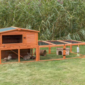 Kleintierstall mit Freilaufgehege