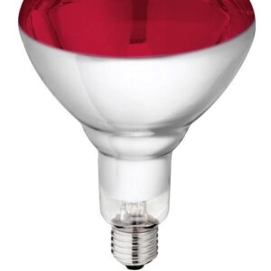 Hartglaslampe Philips 240V