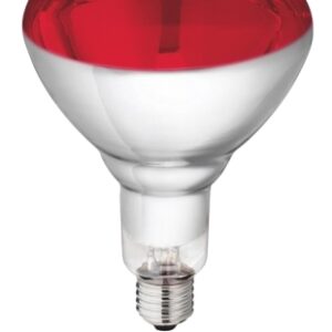 Hartglaslampe Philips 240V