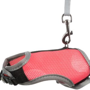 Softgeschirr mit Leine