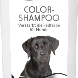 Color-Shampoo