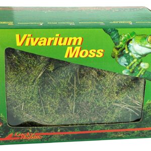 Vivarium Moos 150 g