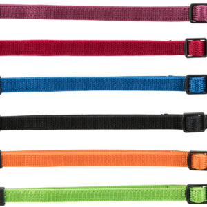 Junior Set Welpenhalsbänder