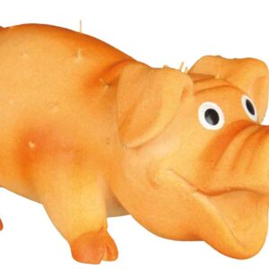 Borstenschwein Hundespielzeug