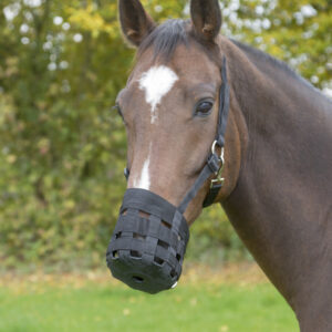 Maulkorb/Fressbremse Nylon