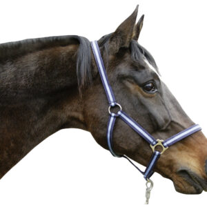 Nylonhalfter Hippo, Pony