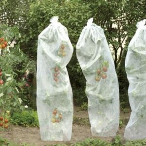 Tomatenreifevlies 0,8x5m 17g weiß