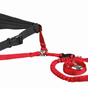 Bauchgurt mit Leine für mittelgroße und große Hunde