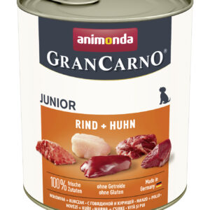 Dog GranCarno Junior