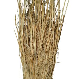 Grasbüschel, ca. 25-40 cm