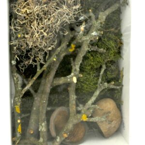 Life Experience Deco Set