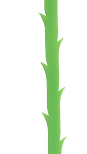 Rapid Rohrreinigungsstrip, 2 Stück