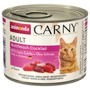 Cat Carny Adult