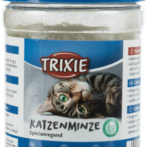 Katzenminze