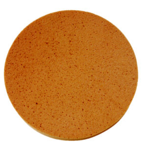 Schwammscheibe (Klett)