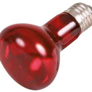 Infrarot Wärme-Spot-Lampe