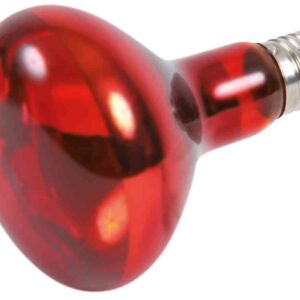 Infrarot Wärme-Spot-Lampe