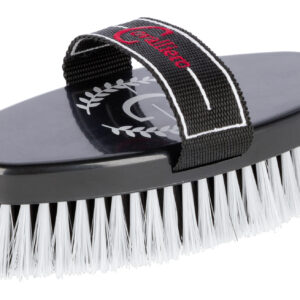 Pferdekardätsche Covalliero