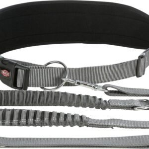 Bauchgurt mit Leine für mittelgroße und große Hunde